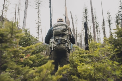 Waarom krachtpatsers nu massaal aan rucking beginnen